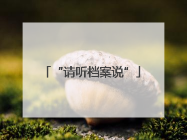 “请听档案说”
