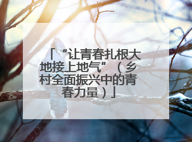 “让青春扎根大地接上地气”（乡村全面振兴中的青春力量）