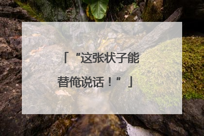 “这张状子能替俺说话！”
