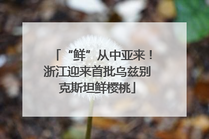 “鲜”从中亚来！浙江迎来首批乌兹别克斯坦鲜樱桃