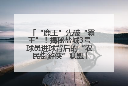 “鹿王”先破“霸王”！揭秘盐城3号球员进球背后的“农民街游侠”联盟