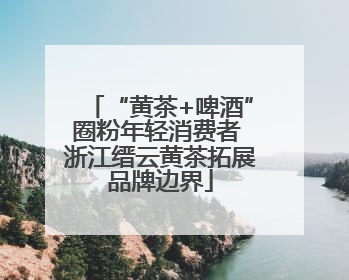 “黄茶+啤酒”圈粉年轻消费者 浙江缙云黄茶拓展品牌边界