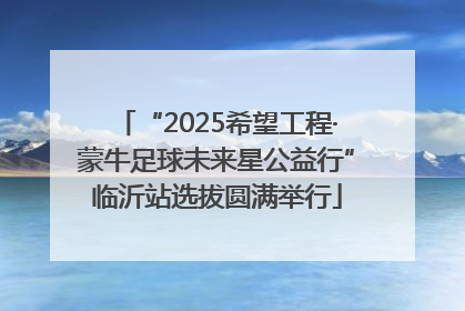 “2025希望工程·蒙牛足球未来星公益行”临沂站选拔圆满举行