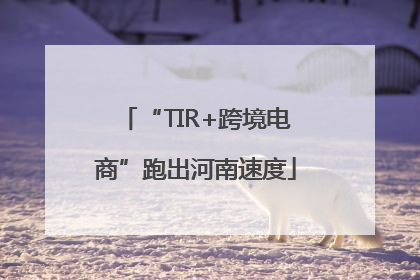 “TIR+跨境电商”跑出河南速度