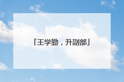 王学勤，升副部