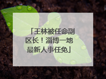 王林被任命副区长！淄博一地最新人事任免