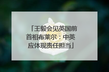 王毅会见英国前首相布莱尔：中英应体现责任担当