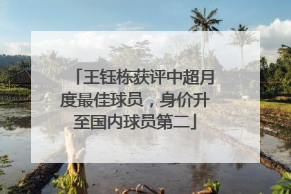 王钰栋获评中超月度最佳球员，身价升至国内球员第二