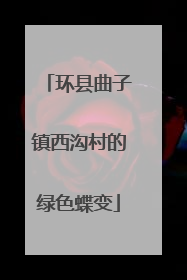 环县曲子镇西沟村的绿色蝶变