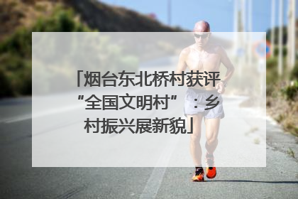 烟台东北桥村获评“全国文明村”：乡村振兴展新貌