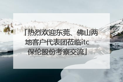 热烈欢迎东莞、佛山两地客户代表团莅临itc保伦股份考察交流