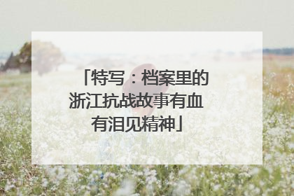 特写：档案里的浙江抗战故事有血有泪见精神