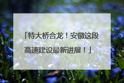 特大桥合龙！安徽这段高速建设最新进展！