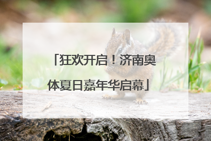 狂欢开启！济南奥体夏日嘉年华启幕