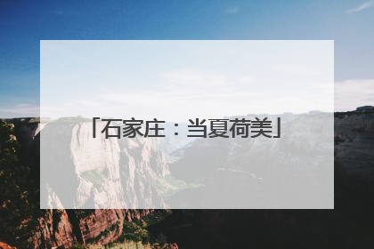 石家庄：当夏荷美