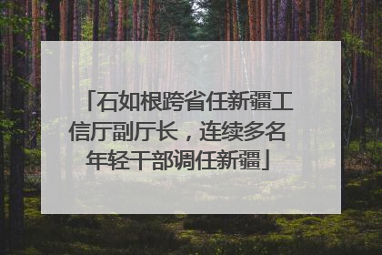 石如根跨省任新疆工信厅副厅长，连续多名年轻干部调任新疆
