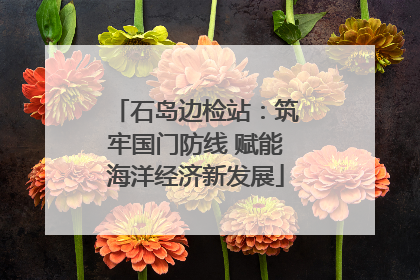 石岛边检站：筑牢国门防线 赋能海洋经济新发展