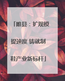 睢县：扩规模提速度 铸就制鞋产业新标杆
