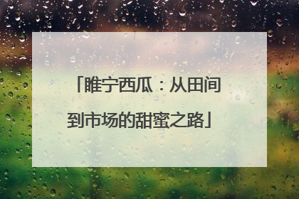 睢宁西瓜：从田间到市场的甜蜜之路