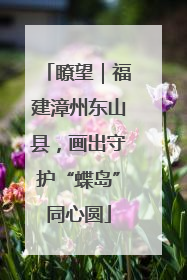 瞭望｜福建漳州东山县，画出守护“蝶岛”同心圆