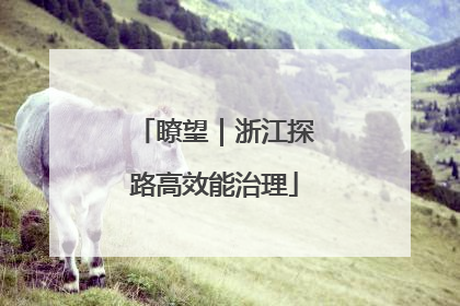 瞭望｜浙江探路高效能治理