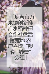琼海市万泉镇创新推广水稻种植合作社盘活撂荒地 农户喜提“粮食+钞票”分红