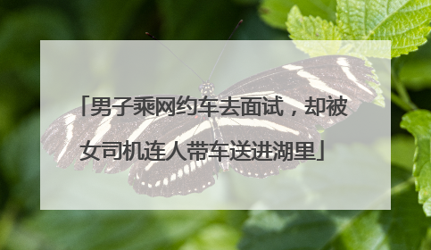 男子乘网约车去面试，却被女司机连人带车送进湖里