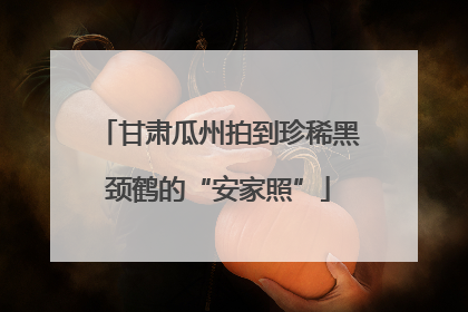 甘肃瓜州拍到珍稀黑颈鹤的“安家照”