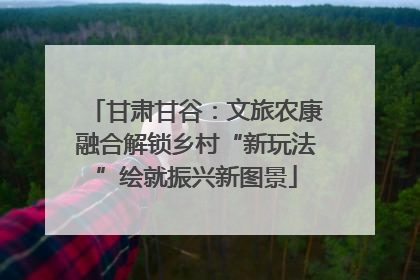 甘肃甘谷：文旅农康融合解锁乡村“新玩法”绘就振兴新图景