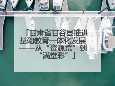 甘肃省甘谷县推进基础教育一体化发展——从“资源荒”到“满堂彩”