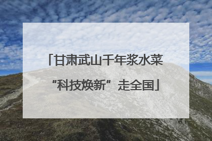 甘肃武山千年浆水菜“科技焕新”走全国