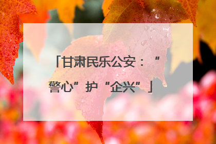甘肃民乐公安：“警心”护“企兴”