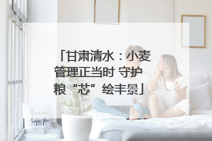 甘肃清水：小麦管理正当时 守护粮“芯”绘丰景