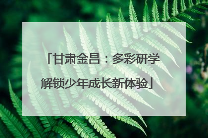 甘肃金昌：多彩研学解锁少年成长新体验