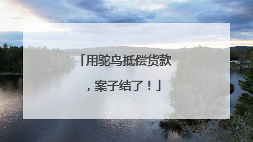 用鸵鸟抵偿货款，案子结了！