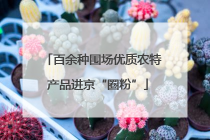 百余种围场优质农特产品进京“圈粉”