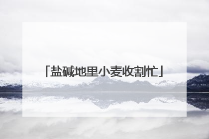 盐碱地里小麦收割忙