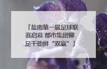 盐南第一届足球联赛启幕 都市集团铆足干劲拼“双赢”