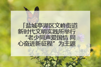 盐城亭湖区文峰街道新时代文明实践所举行“老少同声爱国情 同心奋进新征程”为主题的红色文化活动