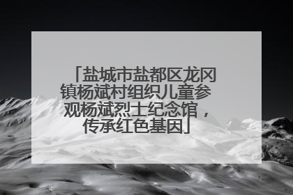 盐城市盐都区龙冈镇杨斌村组织儿童参观杨斌烈士纪念馆，传承红色基因