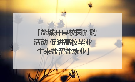 盐城开展校园招聘活动 促进高校毕业生来盐留盐就业