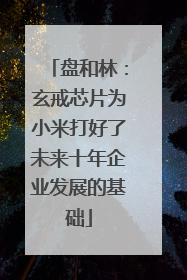 盘和林：玄戒芯片为小米打好了未来十年企业发展的基础