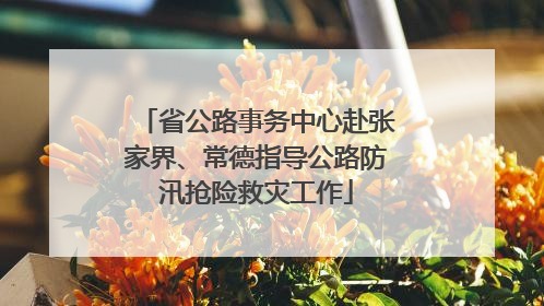 省公路事务中心赴张家界、常德指导公路防汛抢险救灾工作