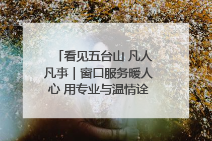 看见五台山 凡人凡事｜窗口服务暖人心 用专业与温情诠释责任担当
