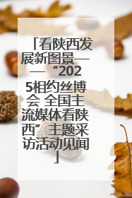 看陕西发展新图景——“2025相约丝博会 全国主流媒体看陕西”主题采访活动见闻