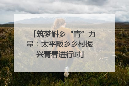 筑梦斛乡“青”力量：太平畈乡乡村振兴青春进行时