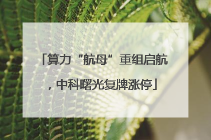 算力“航母”重组启航，中科曙光复牌涨停