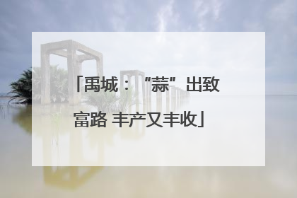 禹城：“蒜”出致富路 丰产又丰收