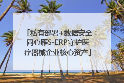 私有部署+数据安全：同心雁S-ERP守护医疗器械企业核心资产