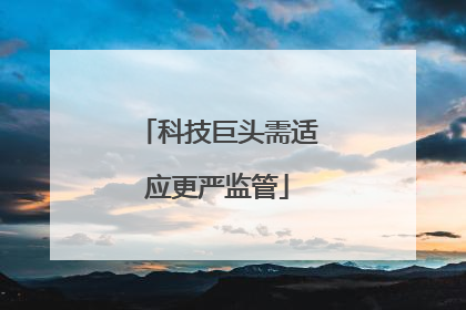 科技巨头需适应更严监管